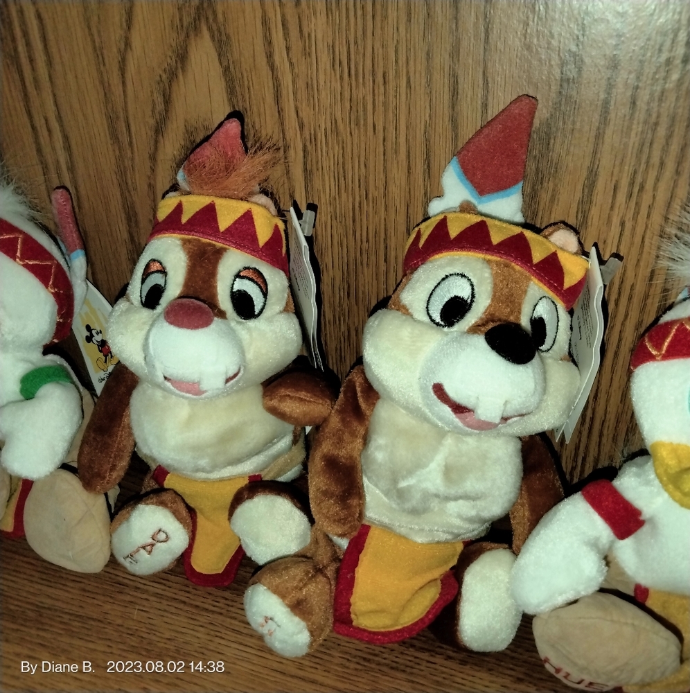 Retired 5-Frontierland  Beanies NWT